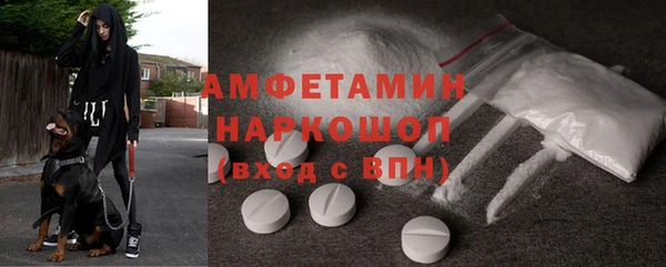 дживик Бородино