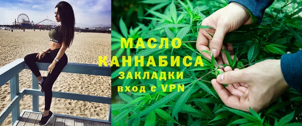 дживик Бородино