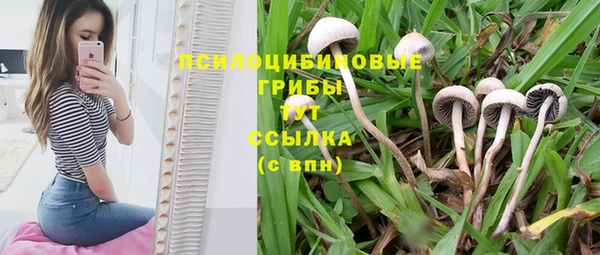 спиды Бугульма