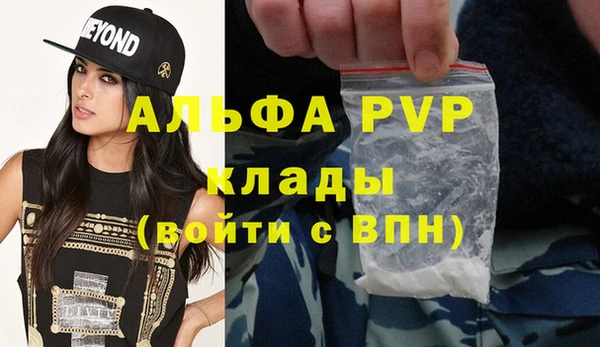 дживик Бородино