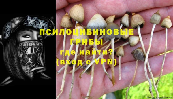 шишки Бронницы