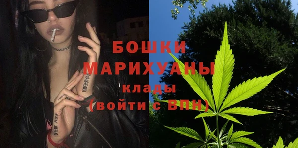 дживик Бородино