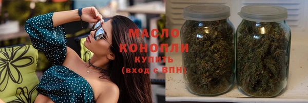дживик Бородино