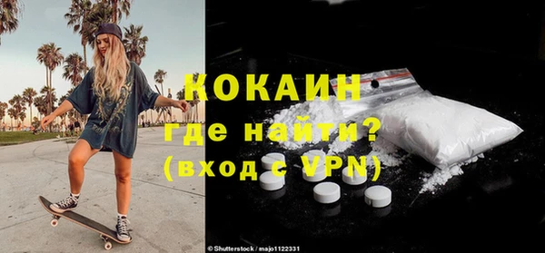 шишки Бронницы
