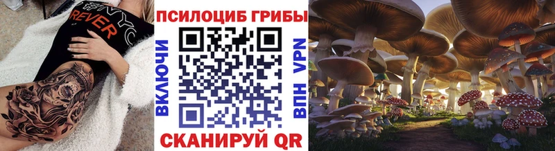 Галлюциногенные грибы Psilocybine cubensis  сколько стоит  Наро-Фоминск 